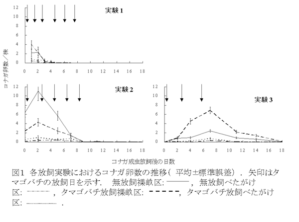 図1 各放飼実験におけるコナガ卵数の推移(平均±標準誤差).