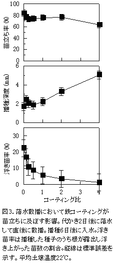 図3.落水散播において鉄コーティングが 苗立ちに及ぼす影響。