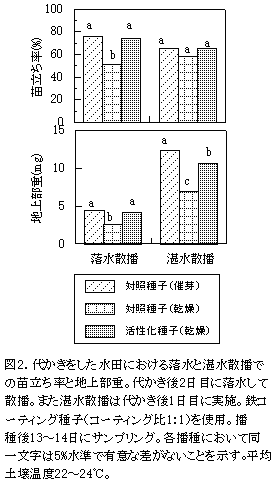 図2.代かきをした水田における落水と湛水散播で の苗立ち率と地上部重。