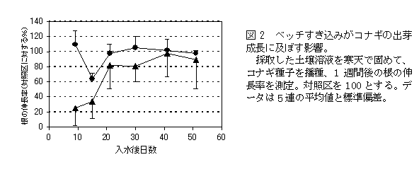 図2 ベッチすき込みがコナギの出芽成長に及ぼす影響。