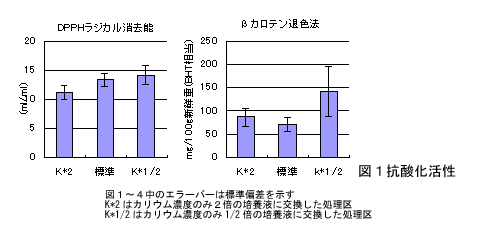 図1 抗酸化活性