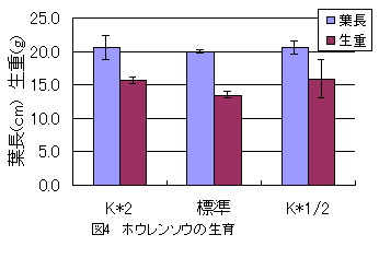 図4 ホウレンソウの生育