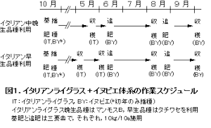 図1.イタリアンライグラス+イヌビエ体系の作業ス