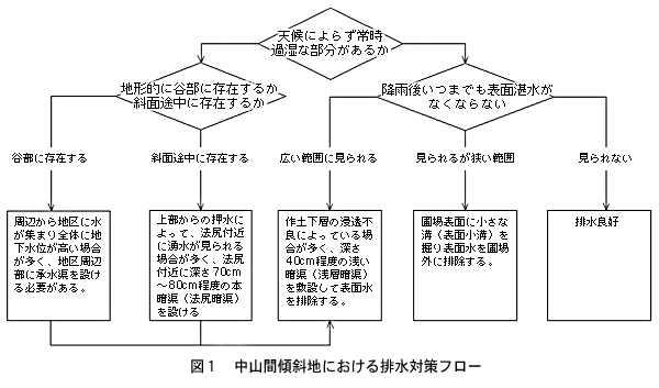 図1.中山間傾斜地における排水対策フロー