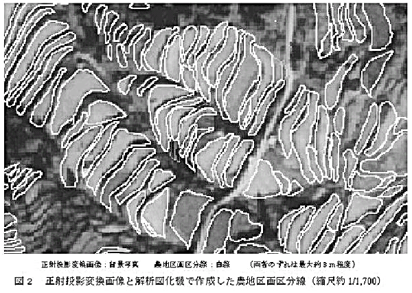 図2.正射投影変換画像と解析図化機で作成した農地区画区分線