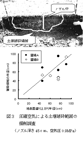 図3 圧縮空気による土壌破砕範囲の掘削調査