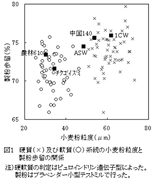 図1.硬質(×)及び軟質(○)系統の小麦粉粒度と製粉歩留の関係