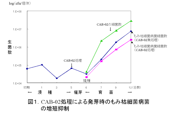 図1.CAB-02処理による発芽時のもみ枯細菌病菌の増殖抑制