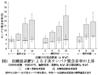 図1.出穂後追肥による子実タンパク質含有率の上昇