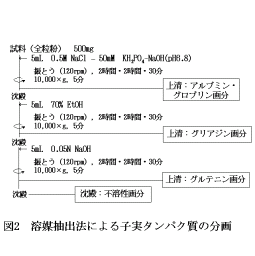 図2.溶媒抽出法による子実タンパク質の分画