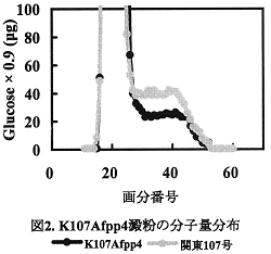 図2.K107Afpp4澱粉の分子量分布