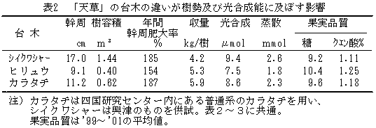 表2 「天草」の台木の違いが樹勢及び光合成能に及ぼす影響