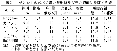 表3 「せとか」の台木の違いが樹勢及び光合成能に及ぼす影響