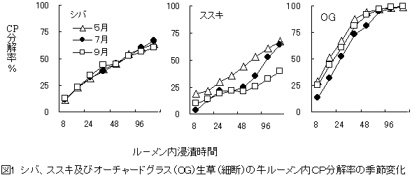 図1 シバ、ススキ及びオーチャードグラス(OG)生草(細断)の牛ルーメン内CP分解率の季節変化