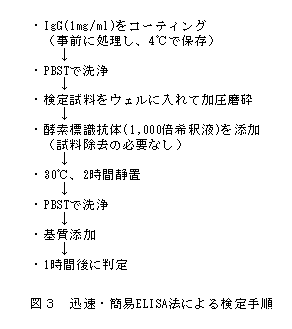 図3 迅速・簡易ELISA法による検定手順