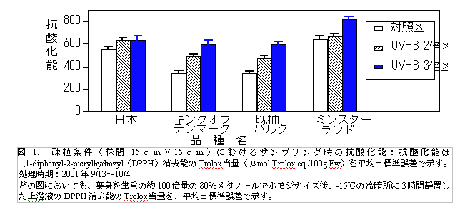 図1. 疎植条件(株間15cm×15cm)におけるサンプリング時の抗酸化能