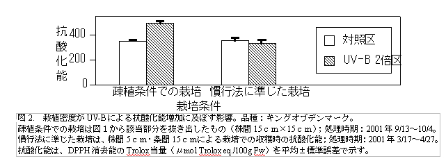 図2. 栽植密度がUV-B による抗酸化能増加に及ぼす影響。