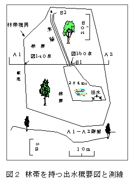 図2 林帯を持つ出水概要図と測線