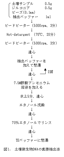 図1. 土壌微生物DNAの直接抽出法