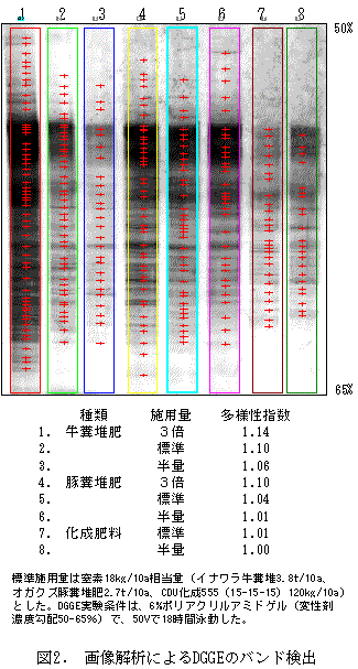 図2. 画像解析によるDGGEのバンド検出