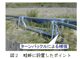図2 畦畔に設置したポイント