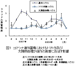 図1 コマツナ連作圃場におけるトマト作及び太陽熱処理が後作の食害に及ぼす影響