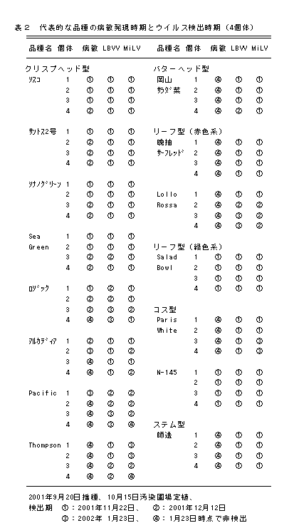 表2 代表的な品種の病徴発現時期とウイルス検出時期