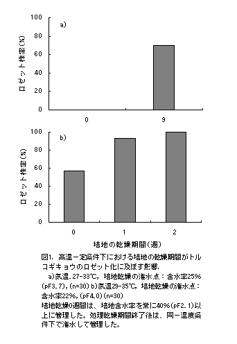 図1.高温一定条件下における培地の乾燥期間がトル コギキョウのロゼット化に及ぼす影響.