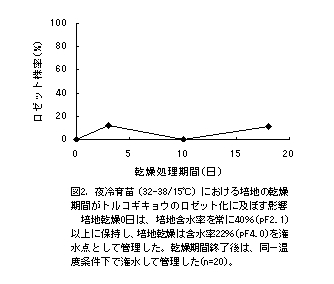 図2.夜冷育苗(32-38/15°C)における培地の乾燥期間がトルコギキョウのロゼット化に及ぼす影響