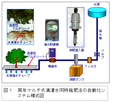 図1 周年マルチ点滴灌水同時施肥法の自動化システム模式図