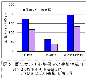 図3 周年マルチ栽培果実の機能性成分