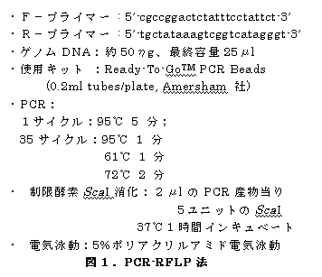 図1.PCR-RFLP 法