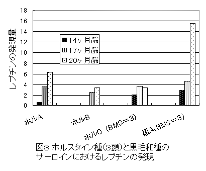 図3 ホルスタイン種(3頭)と黒毛和種の サーロインにおけるレプチンの発現