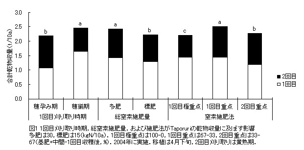 図1 1回目刈り取り時期、総窒素施肥量、および施肥法がTaporuriの乾物収量に及ぼす影響