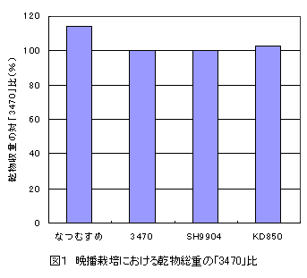 図1 晩播栽培における乾物総重の「3470」比