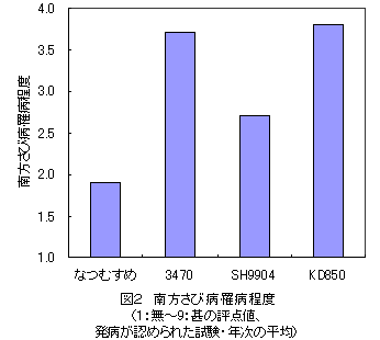 図2 南方さび病罹病程度