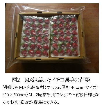 図2 MA包装したイチゴ果実の荷姿