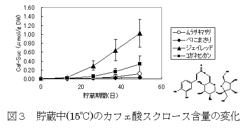 図3 貯蔵中(15℃)のカフェ酸スクロース含量の変化