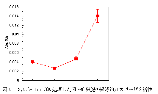 図4. 3,4,5- tri CQA処理したHL-60細胞の経時的カスパーゼ3活性