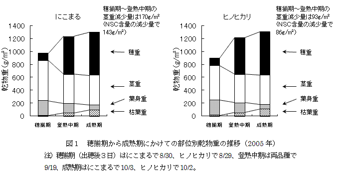 図1 穂揃期から成熟期にかけての部位別乾物重の推移(2005年)