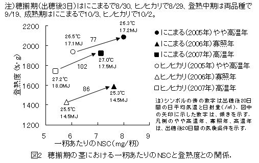 図2 穂揃期の茎における一籾あたりのNSCと登熟度との関係