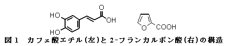 図1  カフェ酸エチル(左)と2-フランカルボン酸(右)の構造