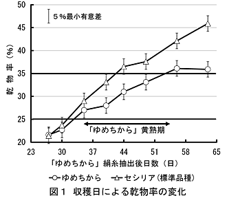 図1 収穫日による乾物率の変化