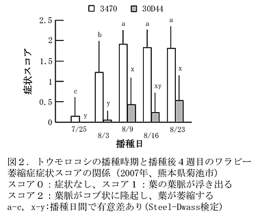 図2.トウモロコシの播種時期と播種後4週目のワラビー萎縮症症状スコアの関係(2007年、熊本県菊池市)