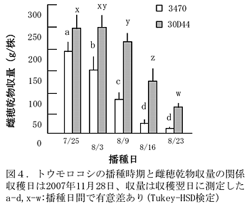図4.トウモロコシの播種時期と雌穂乾物収量の関係