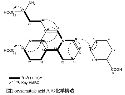 図1 oryzamutaic acid A の化学構造