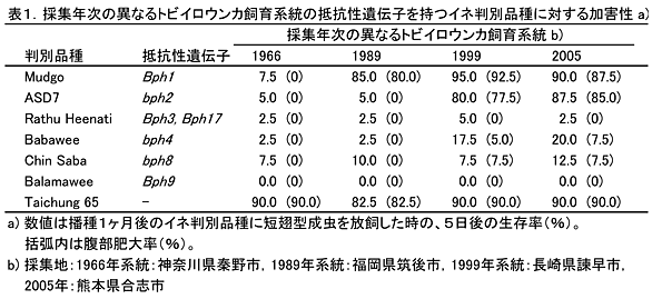 表1.採集年次の異なるトビイロウンカ飼育系統の抵抗性遺伝子を持つイネ判別品種に対する加害性 a)