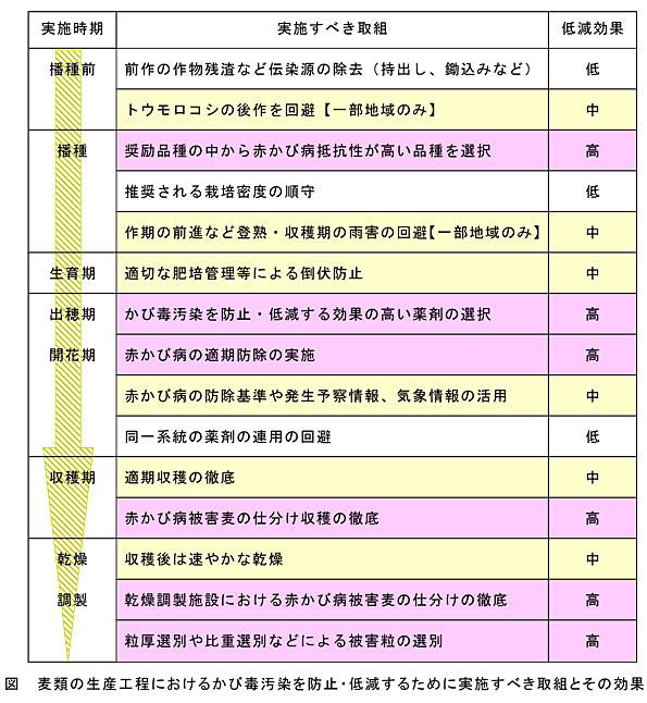 図麦類の生産工程におけるかび毒汚染を防止・低減するために実施すべき取組とその効果