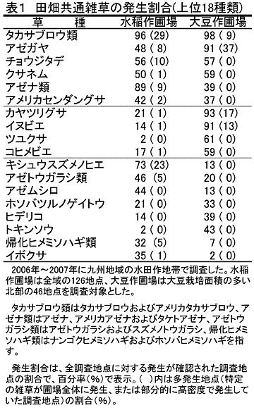 表1 田畑共通雑草の発生割合(上位18種類)