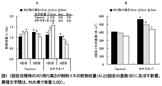 図1 1回目収穫時の刈り取り高さが飼料イネの乾物収量(A)と2回目の茎数(B)に及ぼす影響。異種文字間は、5%水準で有意(LSD)。